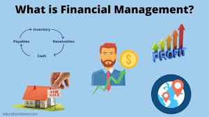 Understanding the Basics of Financial Management in Business